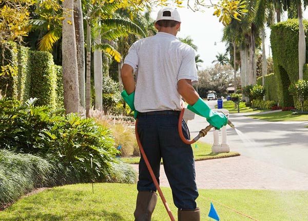 About Buckner AR Pest Control Pros